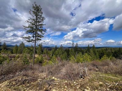 52XX Lot 8 Swenson Rd