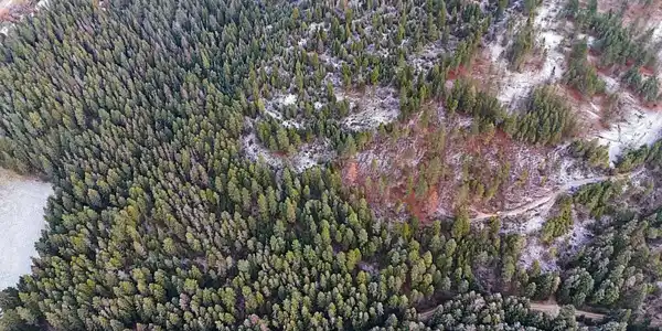Image 4 Image 4