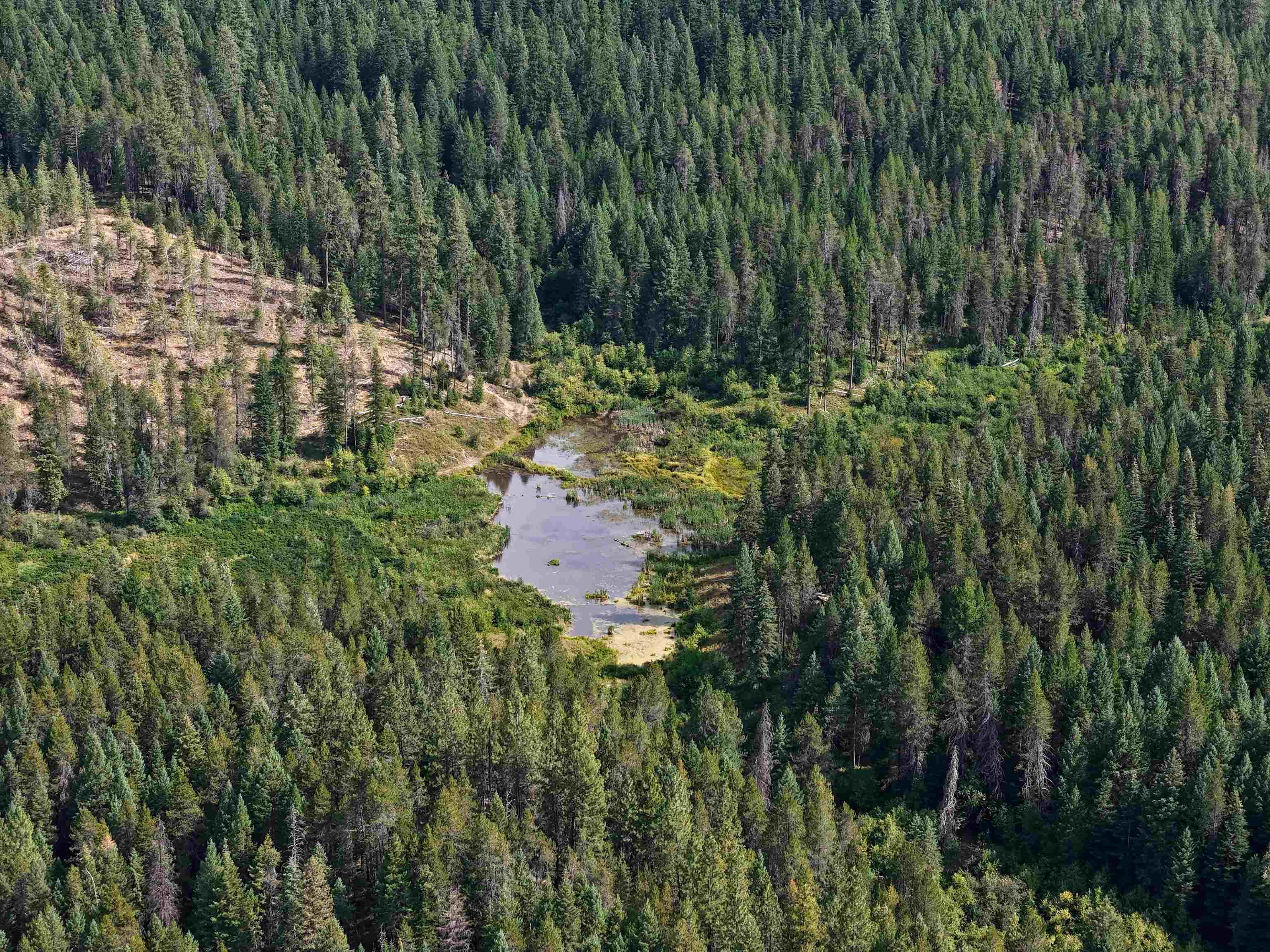 Image 4 Image 4