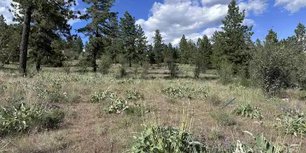 Image 3 Image 3