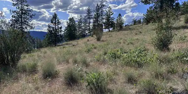 Image 4 Image 4