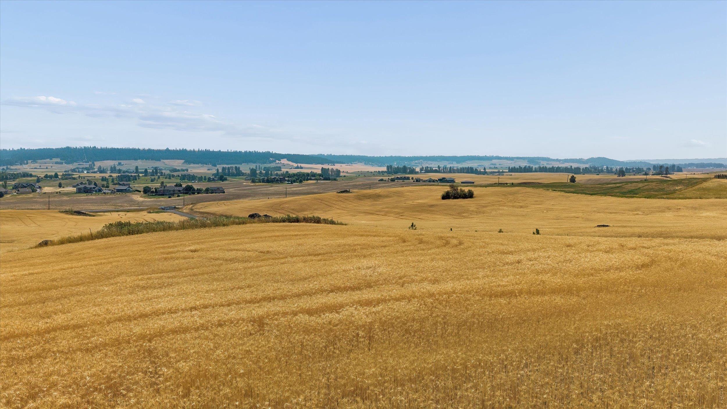 Image 4 Image 4