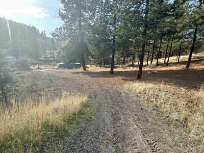 256XX E Pine Cone E Ct