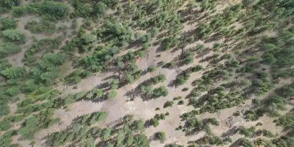 Image 3 Image 3