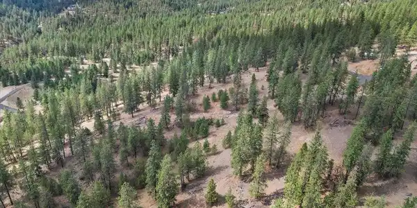 Image 4 Image 4