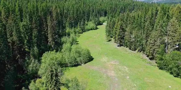 Image 3 Image 3
