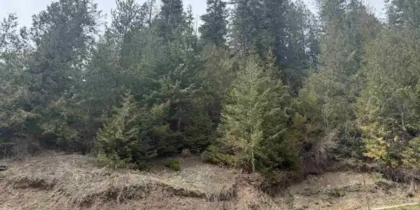 Image 2 Image 2
