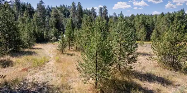 Image 3 Image 3