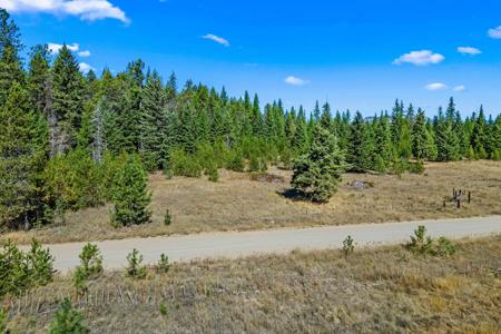 NKA Pines Rd