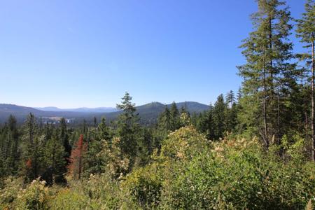 XXX Buck Creek Rd