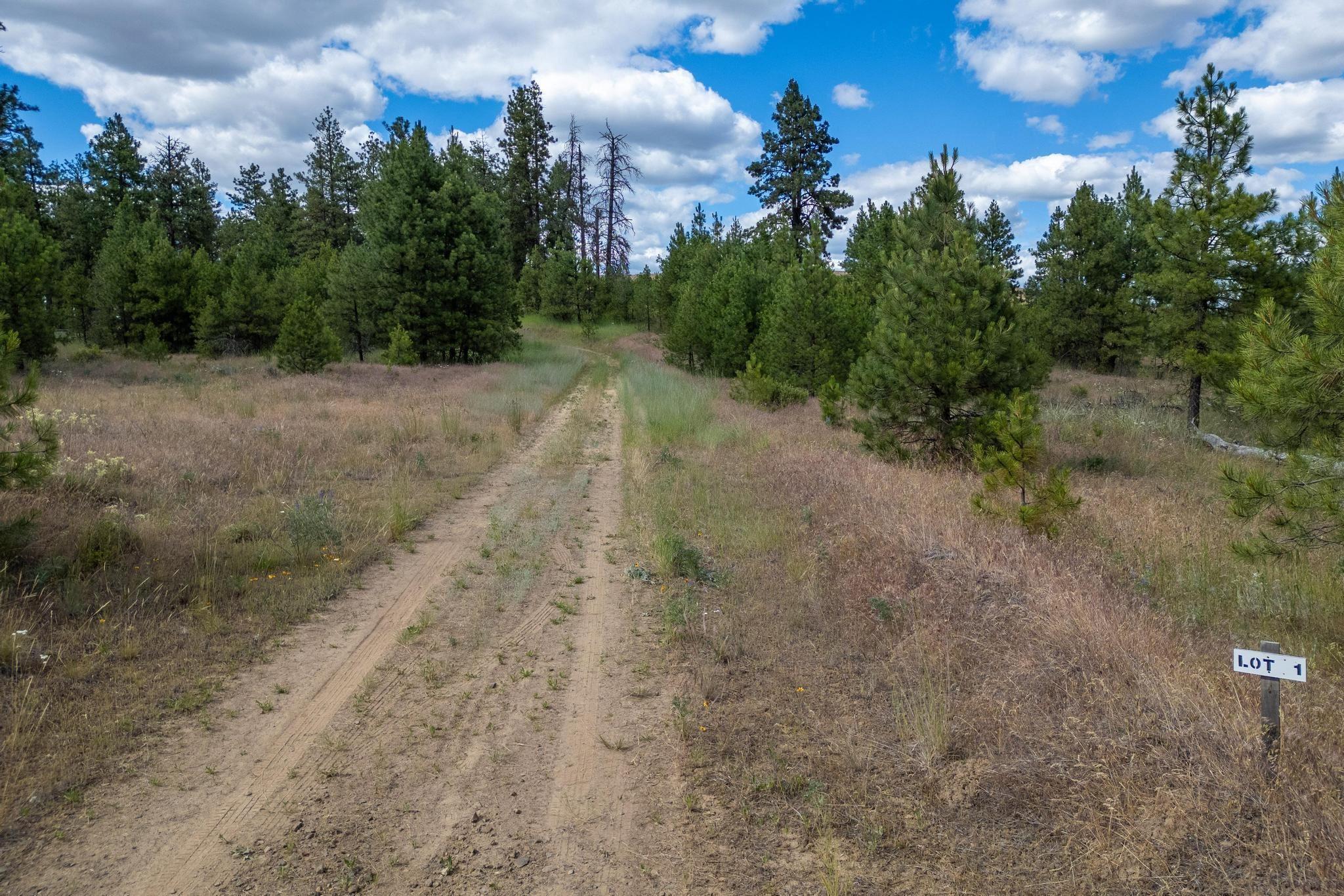 Image 3 Image 3