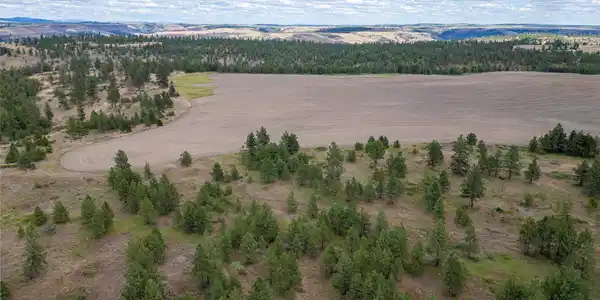 Image 4 Image 4