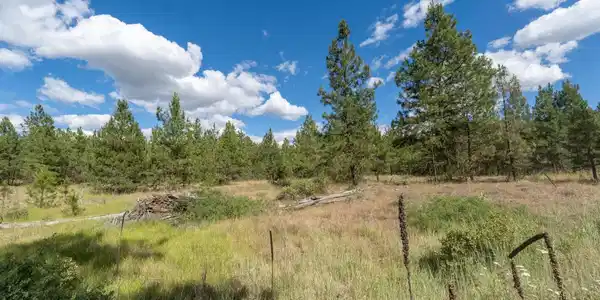 Image 4 Image 4