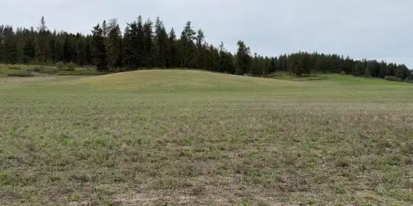 Image 4 Image 4