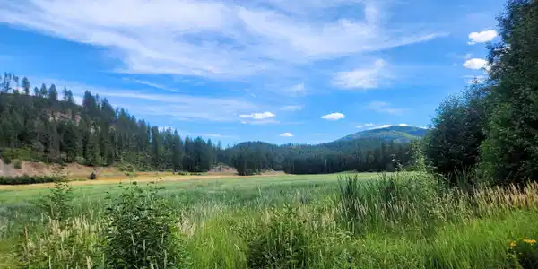 Image 3 Image 3