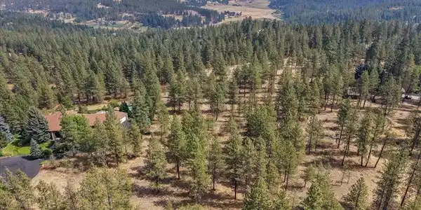 Image 4 Image 4