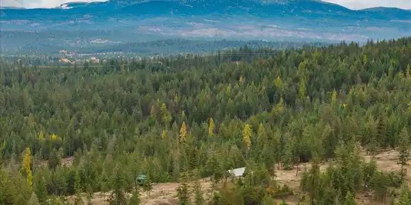 36022 N Milan-Elk Rd