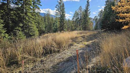 717 B Finley Gulch Rd