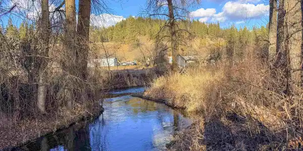 Image 4 Image 4