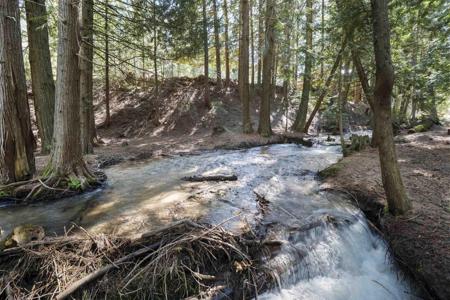 341xx N Blanchard Creek Rd