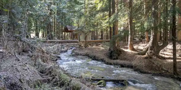 Image 4 Image 4