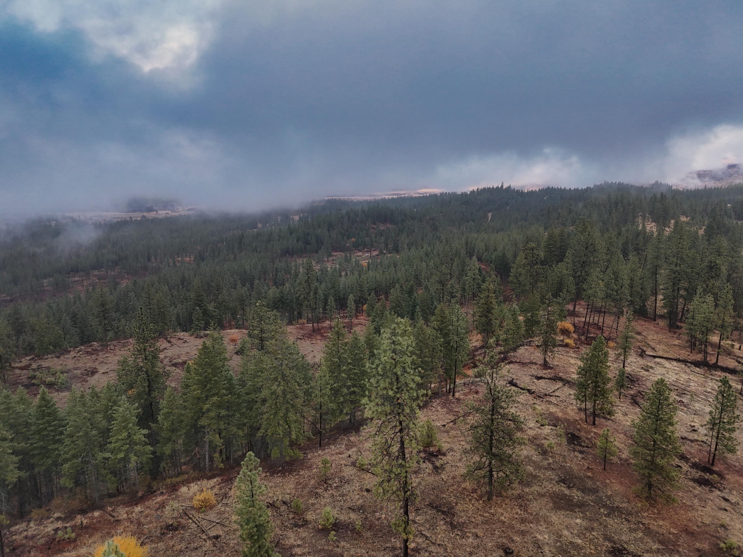 Image 4 Image 4