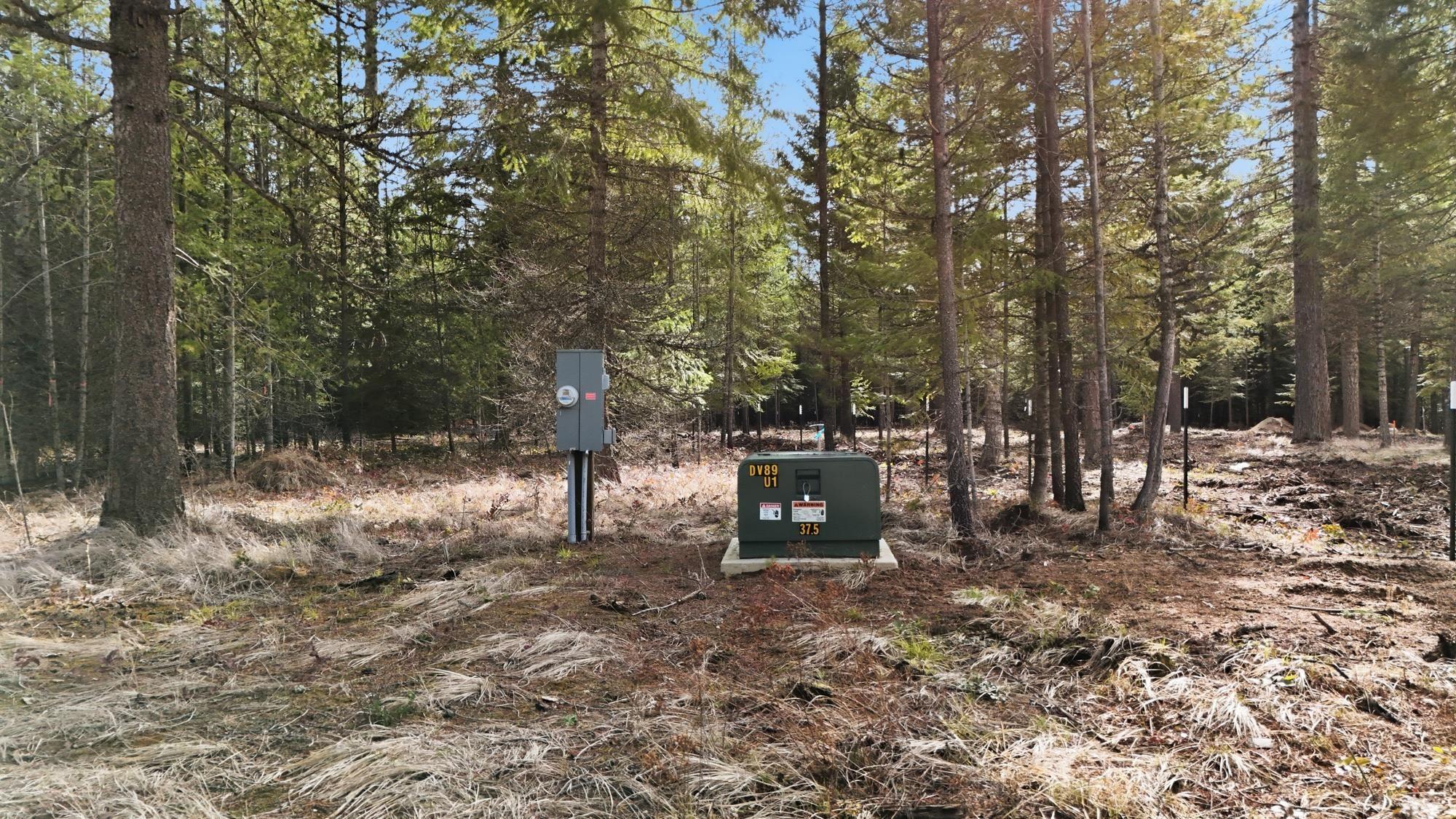 Image 4 Image 4