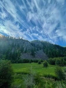 8XX Little Spokane River Rd