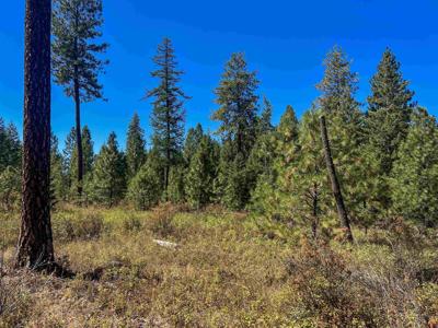 52XX Lot 2 Swenson Rd