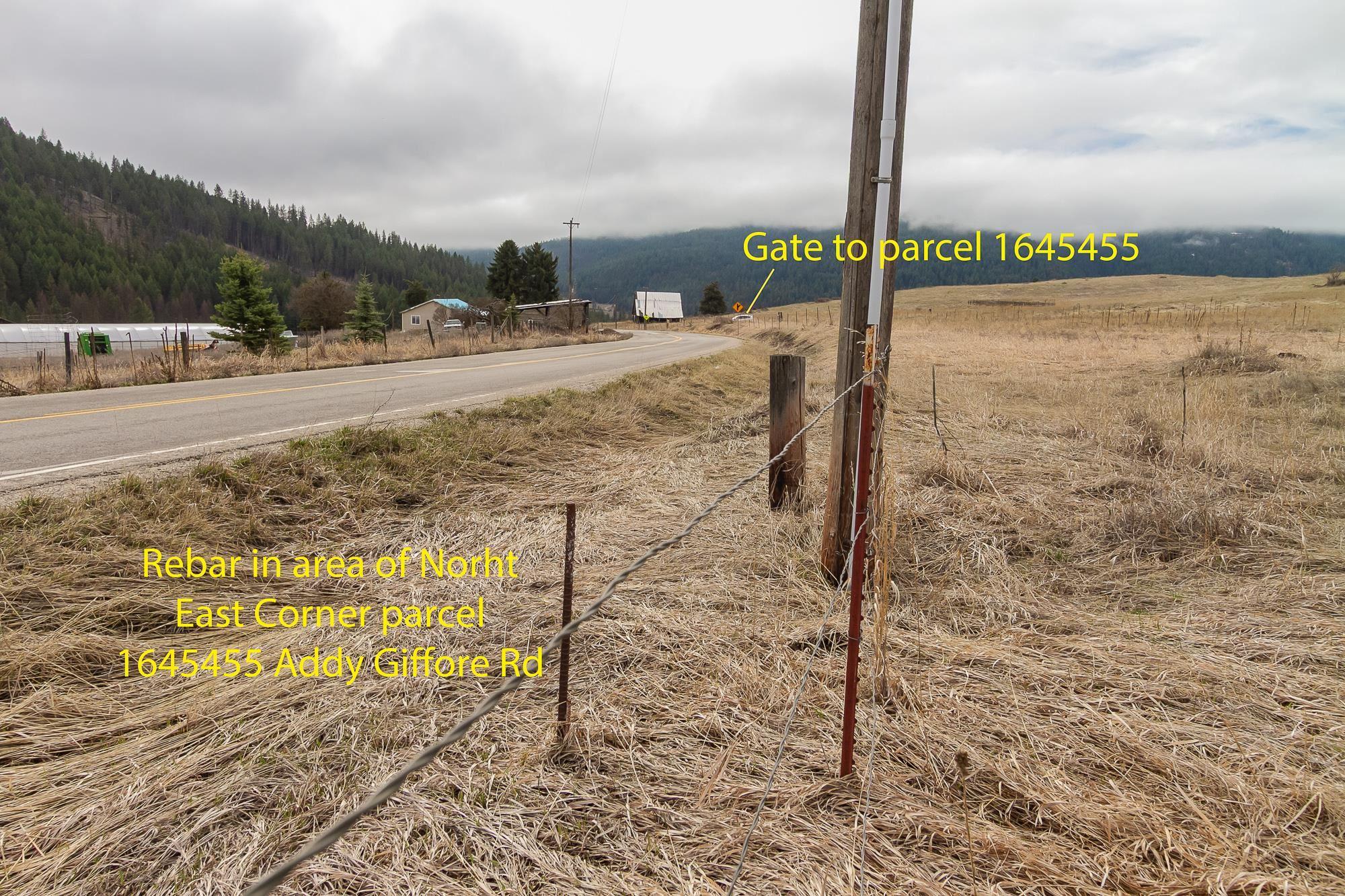 Image 4 Image 4