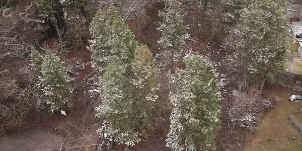 Image 3 Image 3