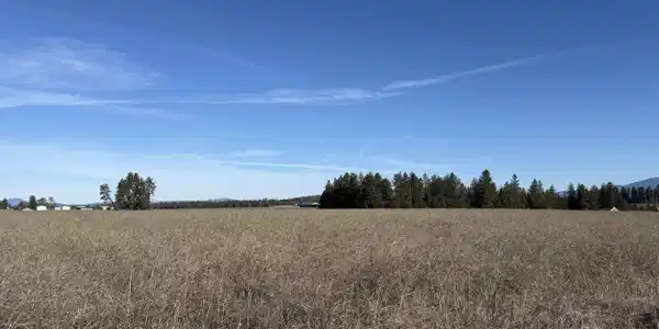 Image 4 Image 4