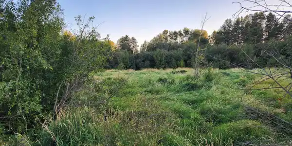Image 3 Image 3