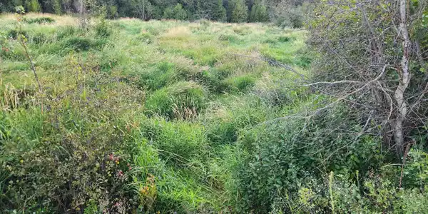 Image 4 Image 4