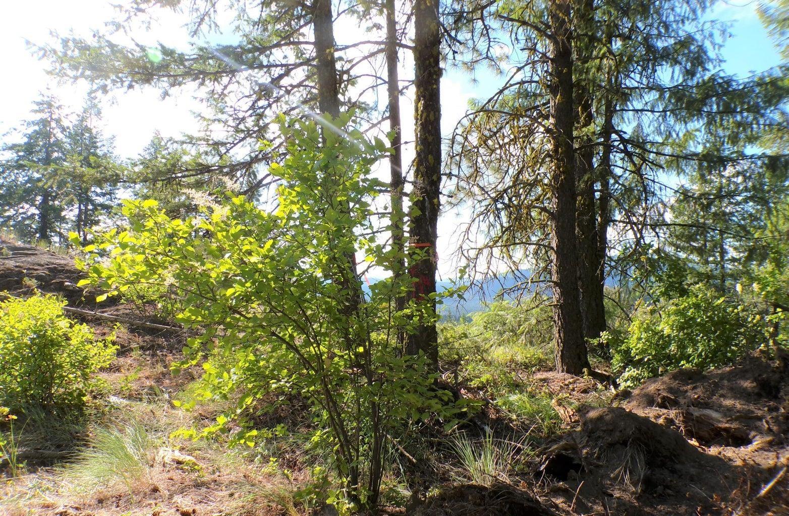 Image 3 Image 3