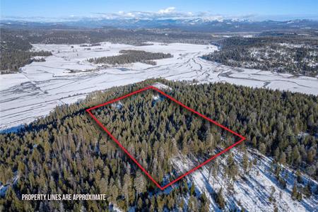 4XXX Springdale Hunters Rd