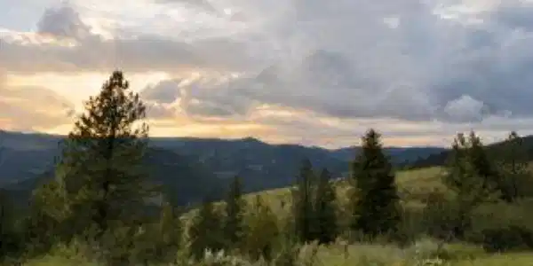 Image 2 Image 2