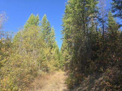 3XXX Sand Creek Rd