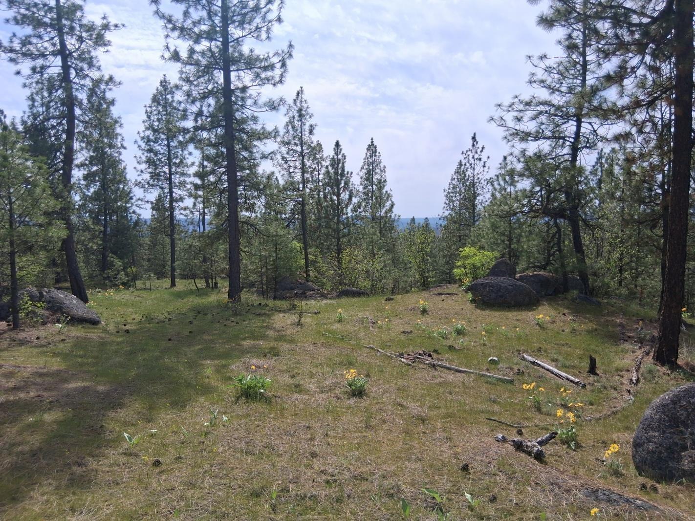 Image 3 Image 3