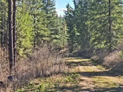 6400 Castle Rock Creek Rd Rd