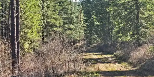 6400 Castle Rock Creek Rd Rd