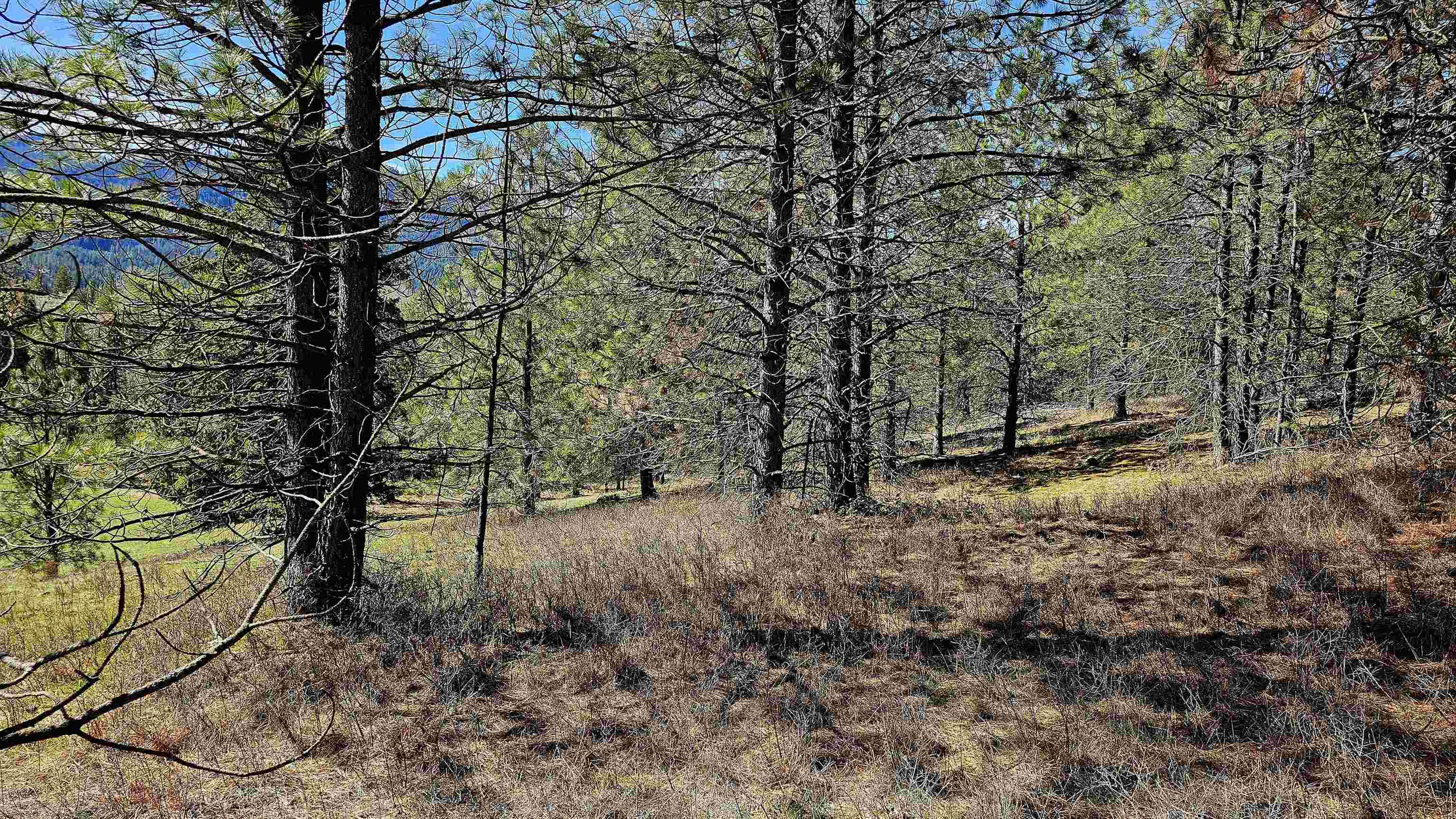Image 3 Image 3
