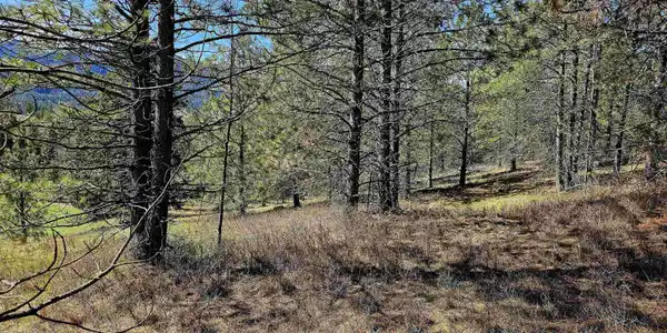 Image 3 Image 3