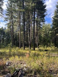 42XX Bussard Lake Rd