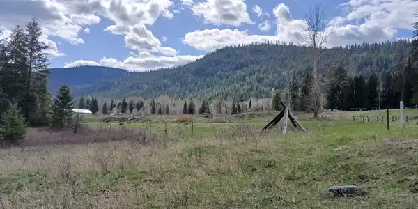 Image 4 Image 4