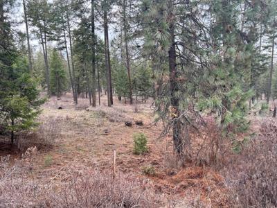 Nicholson Rd parcel Rd