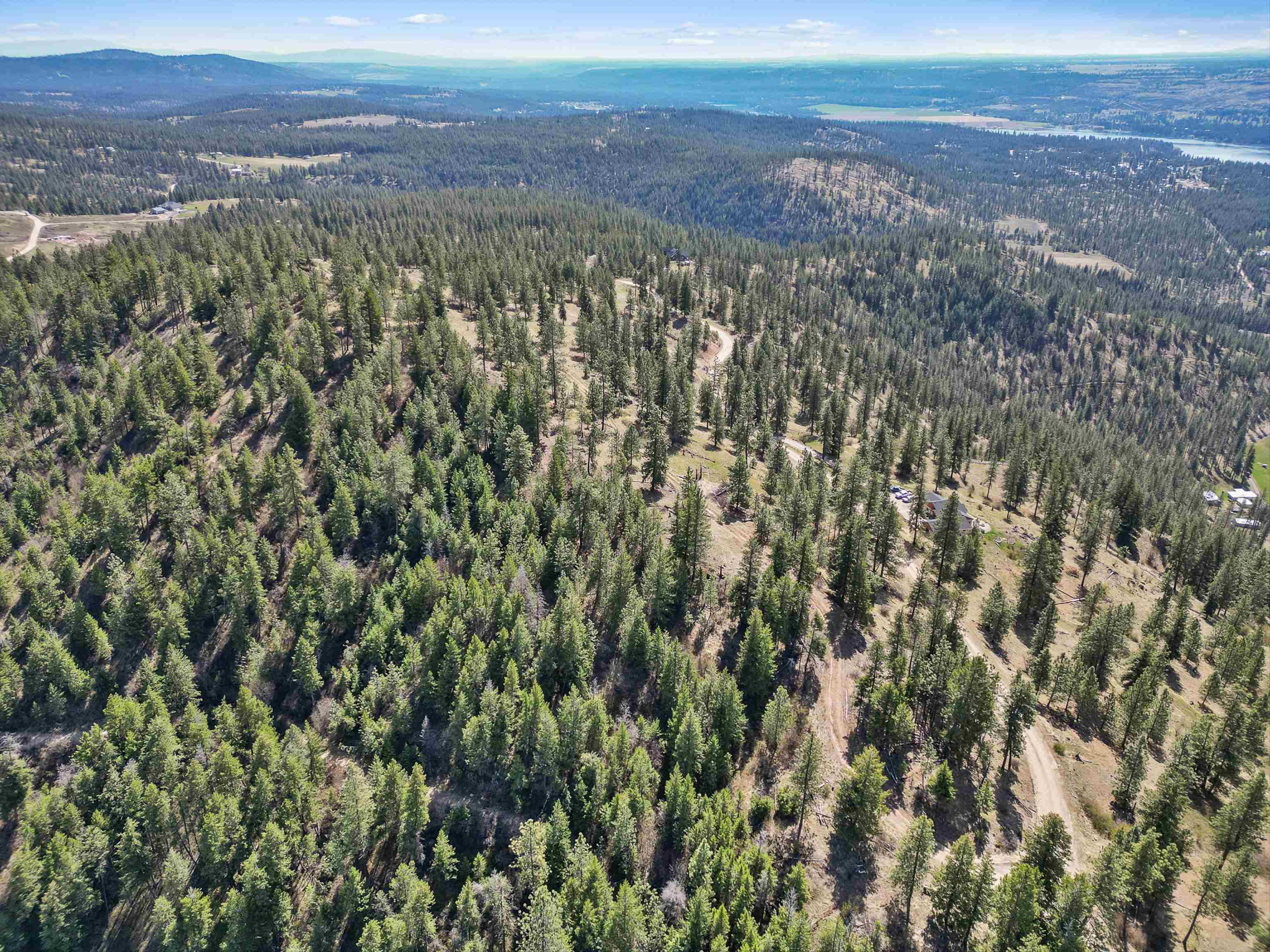 Image 4 Image 4