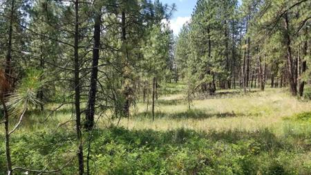 Lot 1 Glen Grove-Staley Rd