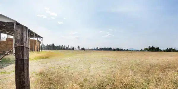 Image 4 Image 4