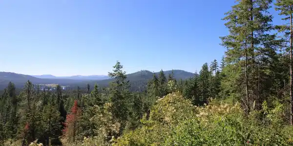 XXX Buck Creek Rd